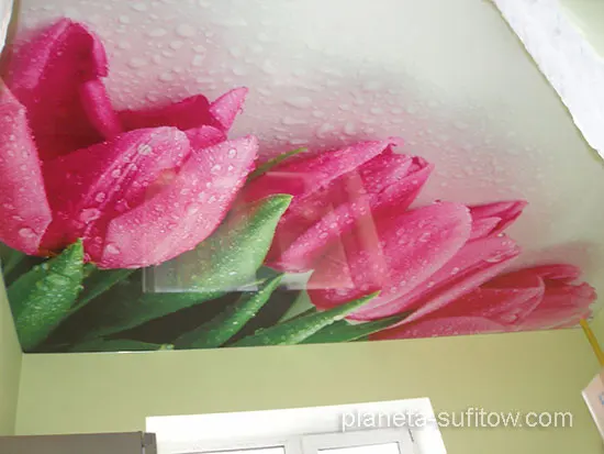 nadruk kwiaty na lustrzanem suficie