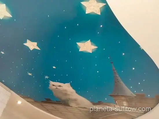 gwiazdy na sufit z kotem